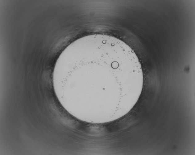 X0000115780415200912241815