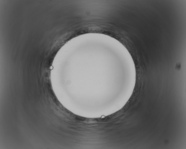 X0000115780419200912241815