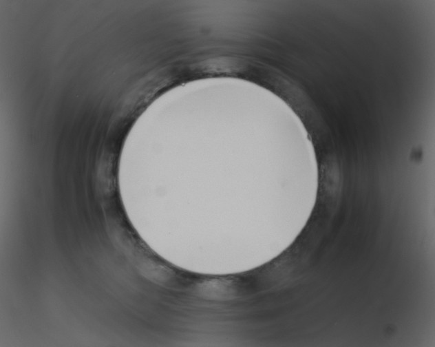 X0000115780422200912241815