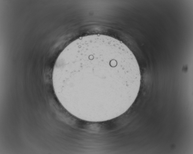 X0000115780423200912241815