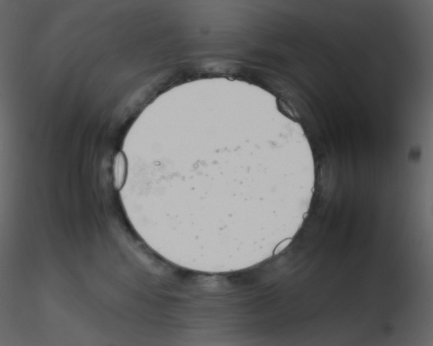 X0000115780424200912241815