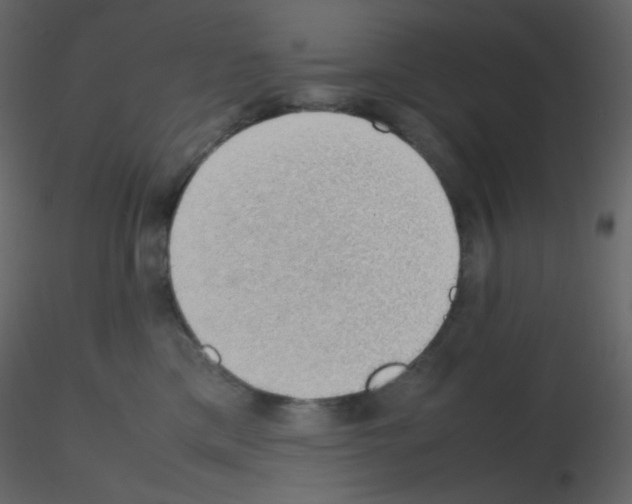 X0000115780425200912241814