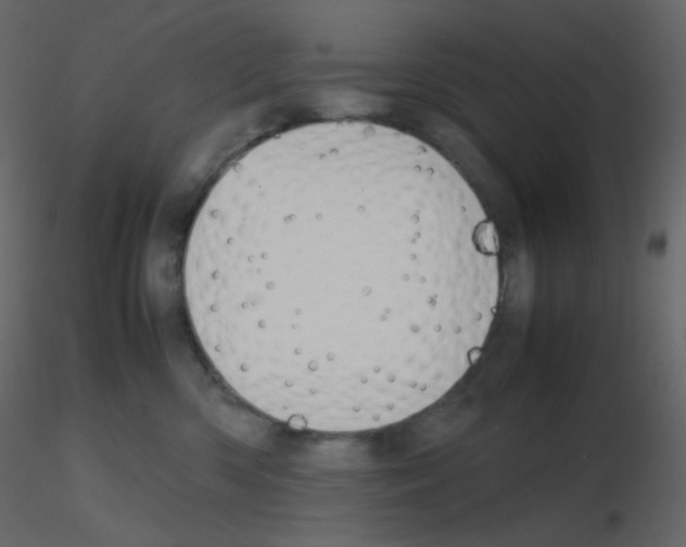 X0000115780426200912241814