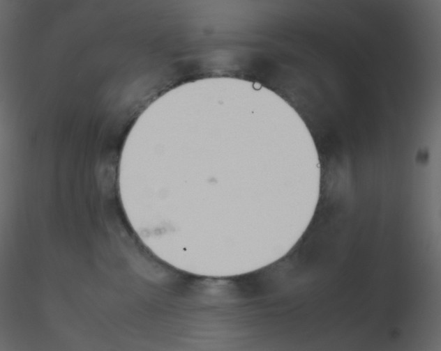 X0000115780427200912241814