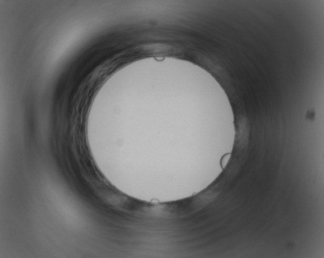 X0000115780430200912241814