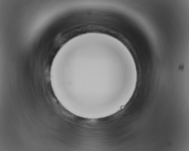 X0000115780431200912241814