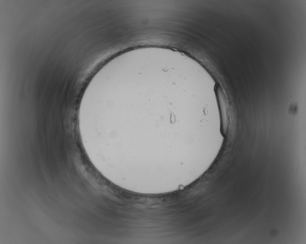 X0000115780434200912241814