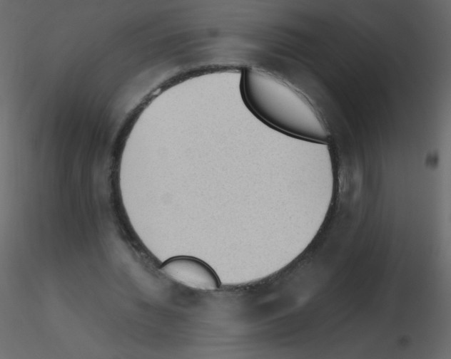 X0000115780436200912241814