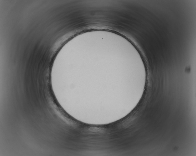 X0000115780437200912241814