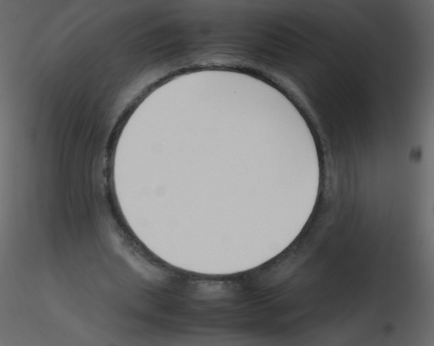 X0000115780439200912241814