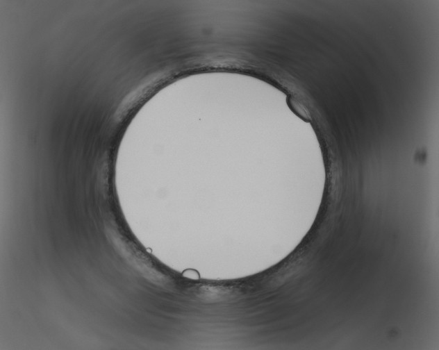 X0000115780442200912241814