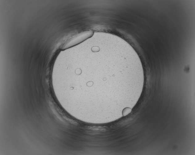 X0000115780443200912241814