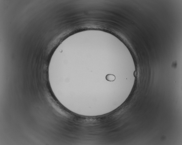 X0000115780445200912241814