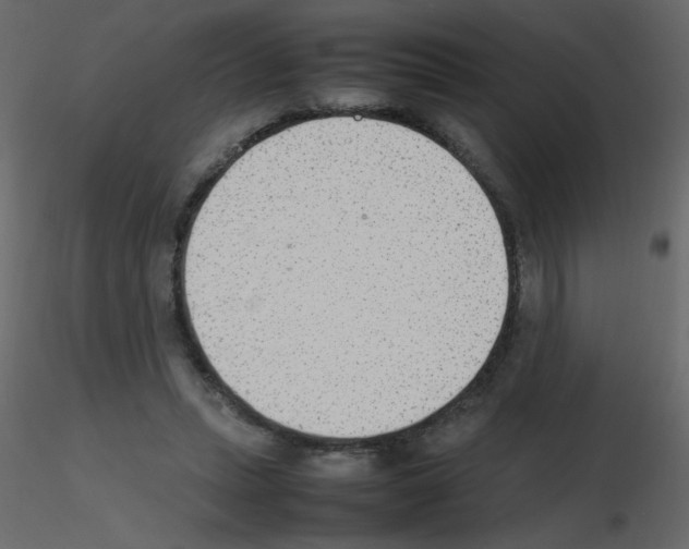 X0000115780447200912241814