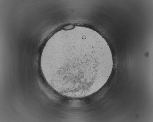 X0000115780448200912241814