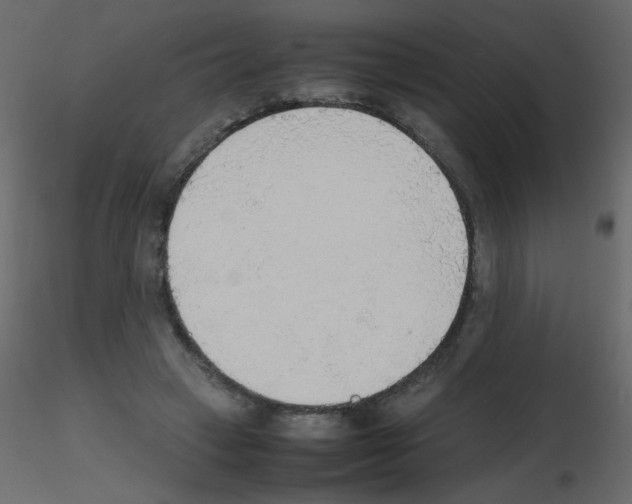 X0000115780449200912241814