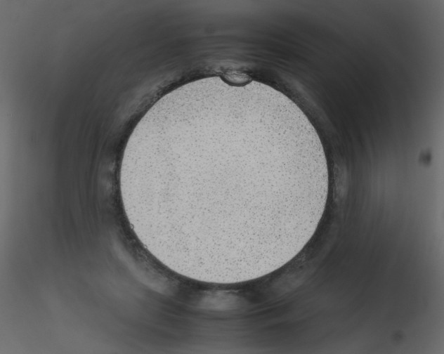 X0000115780451200912241814