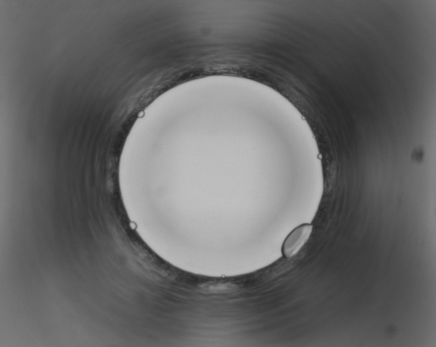 X0000115780452200912241814