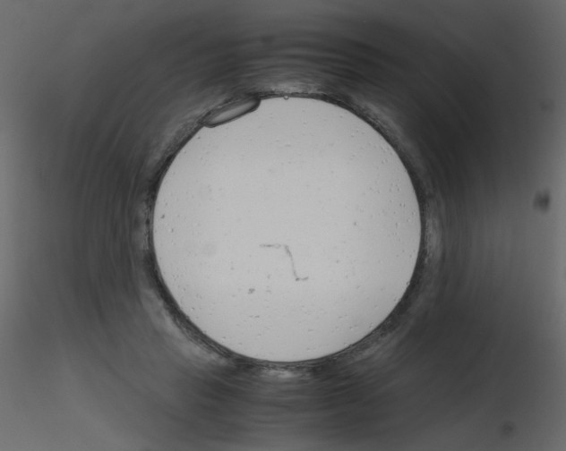 X0000115780453200912241814