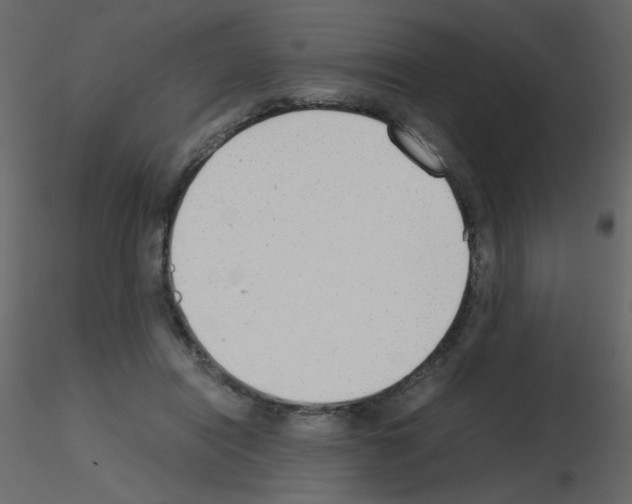 X0000115780454200912241814