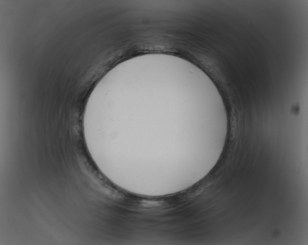 X0000115780457200912241814