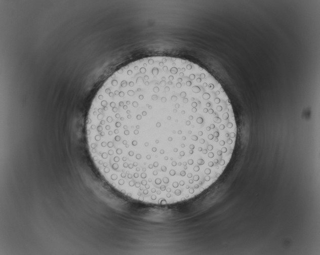 X0000115780458200912241814