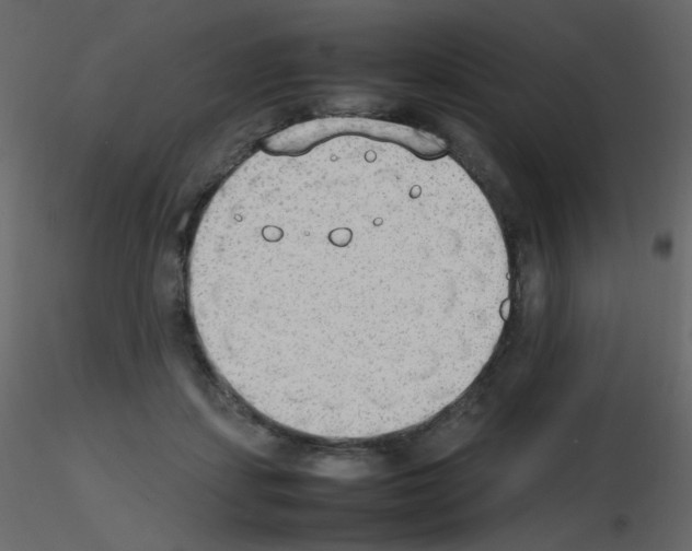 X0000115780459200912241814