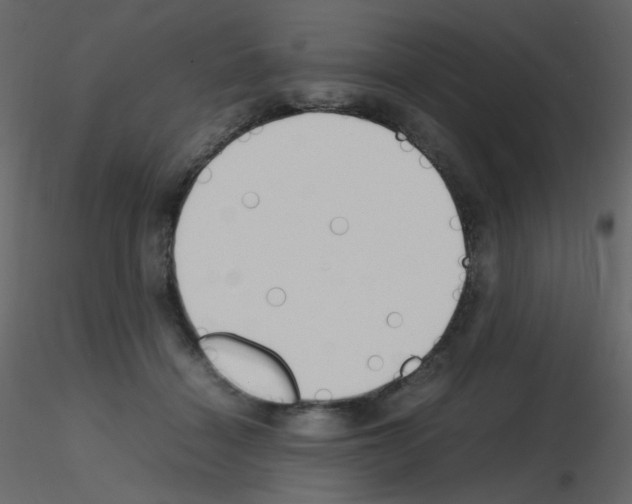 X0000115780460200912241814