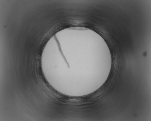 X0000115780461200912241814