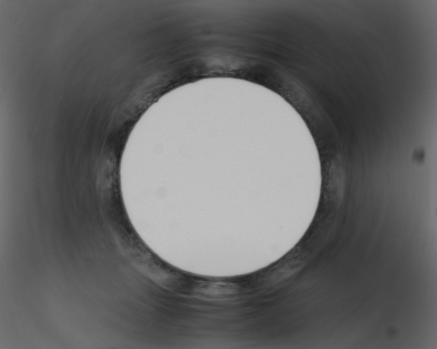 X0000115780463200912241814