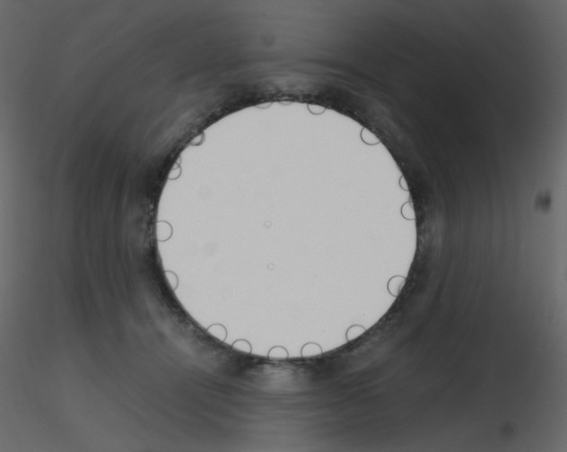 X0000115780464200912241814