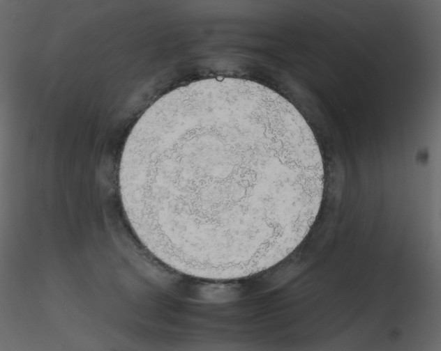 X0000115780465200912241814