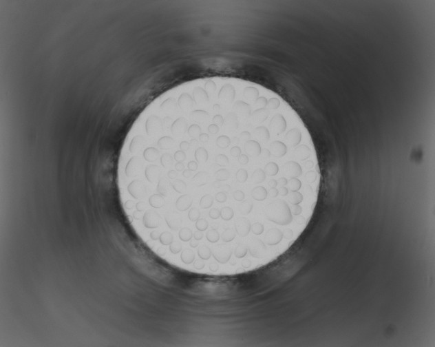 X0000115780466200912241814