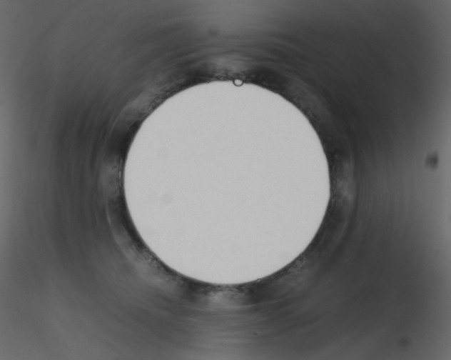 X0000115780468200912241814