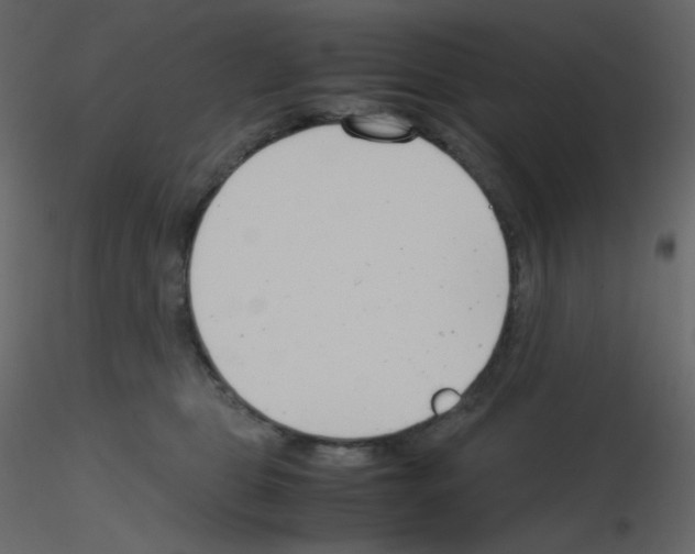 X0000115780469200912241814