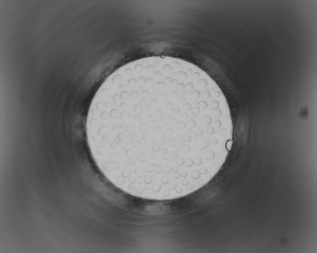 X0000115780470200912241814