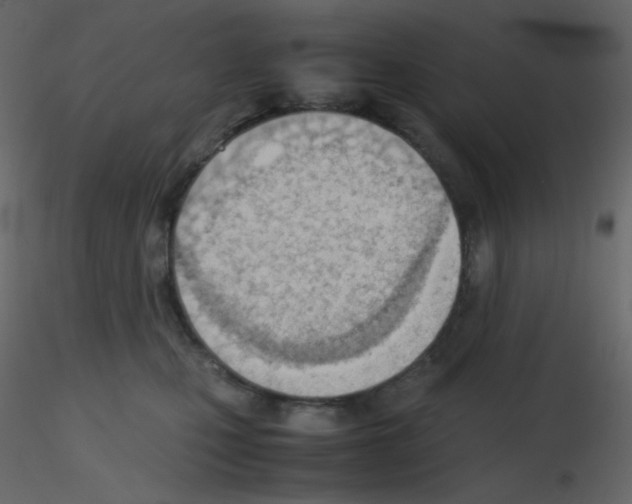 X0000115780471200912241814