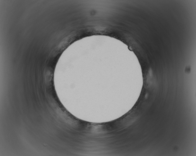 X0000115780472200912241814