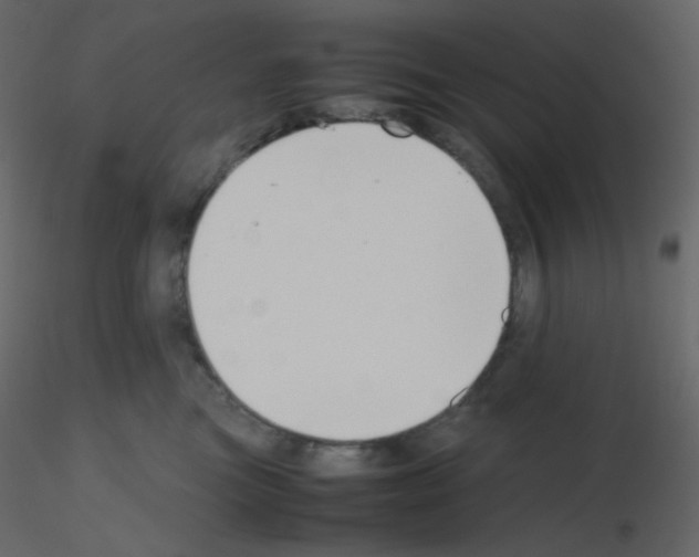 X0000115780473200912241814