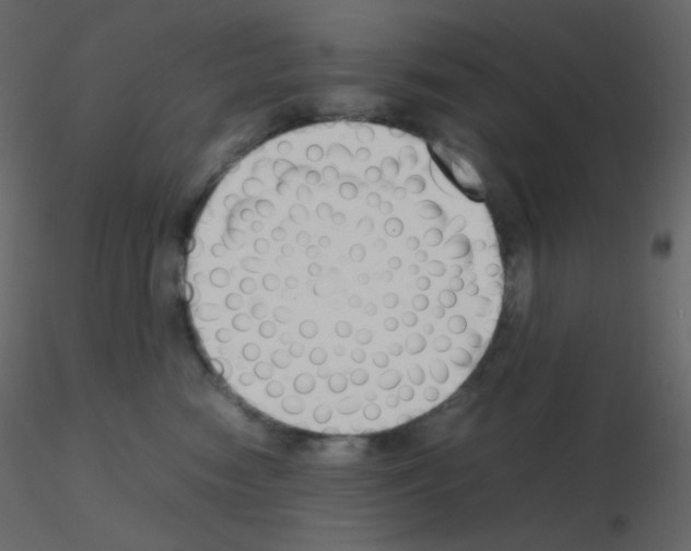 X0000115780474200912241814