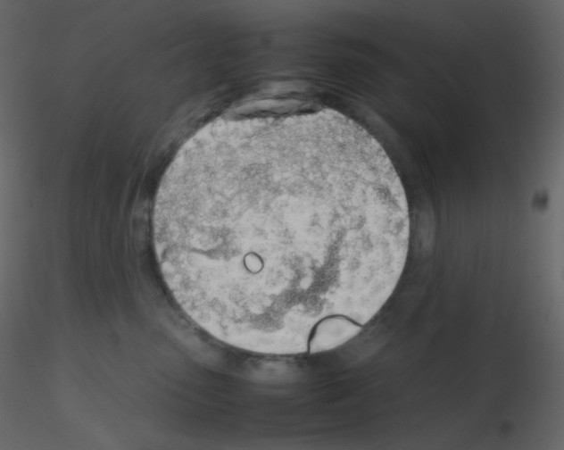 X0000115780475200912241814