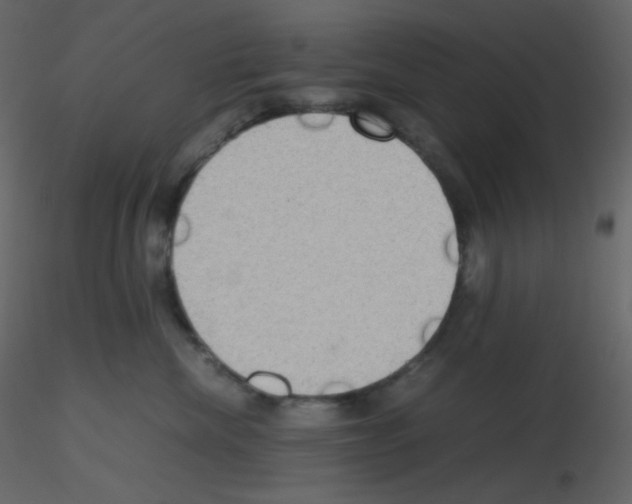 X0000115780476200912241814