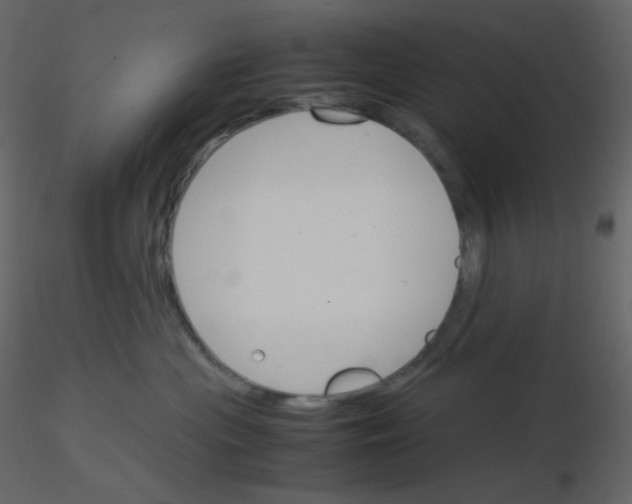 X0000115780477200912241814