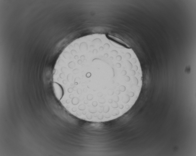 X0000115780478200912241814