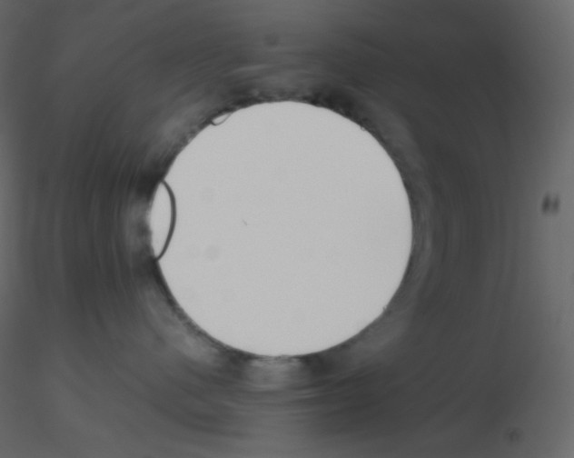 X0000115780480200912241814