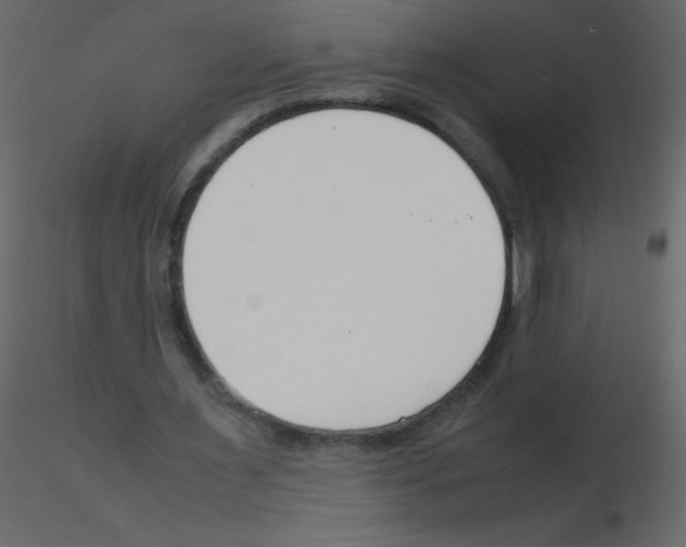 X0000115780483200912241814