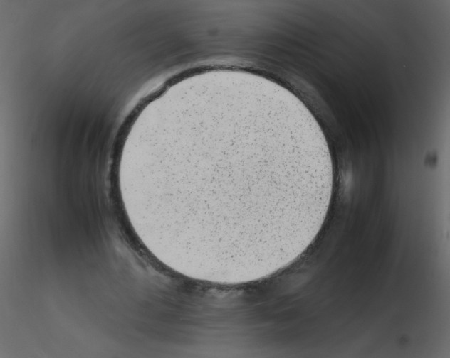 X0000115780484200912241814