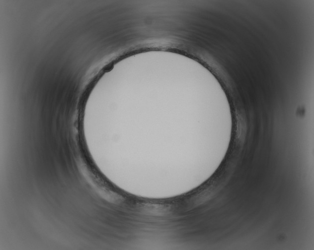 X0000115780486200912241814