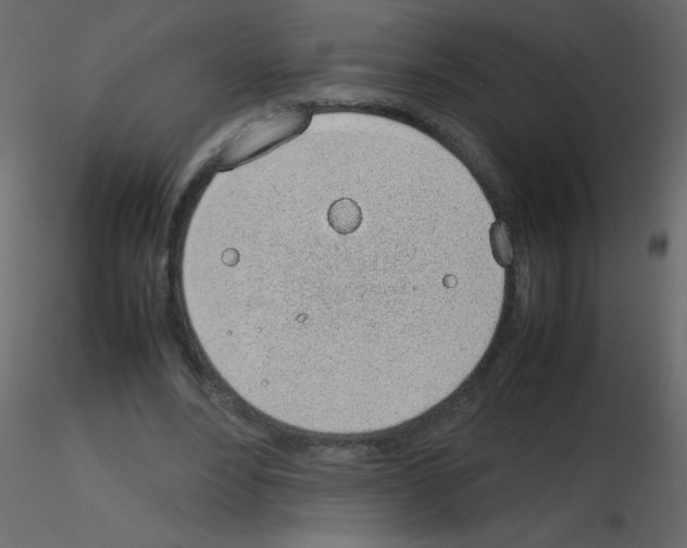 X0000115780488200912241814