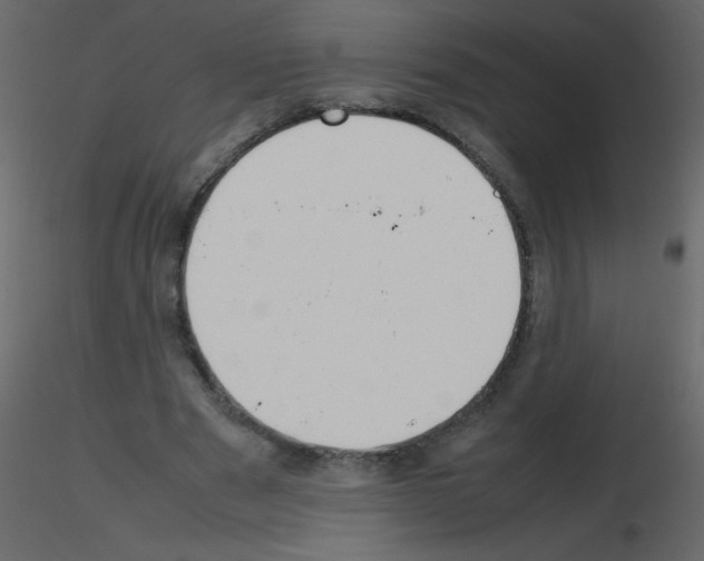 X0000115780489200912241814